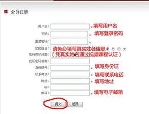 国产货品发货流程视频,从生产到送达的全方位解析