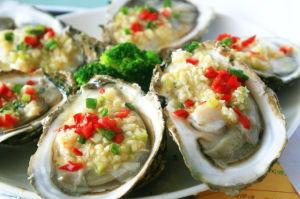 国产生蚝怎么开壳的视频,轻松解锁美味之门