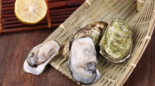 国产生蚝怎么开壳的视频,轻松解锁美味之门