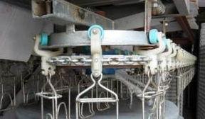 国产杀鸡流水线视频,高效自动化，见证现代养殖技术革新