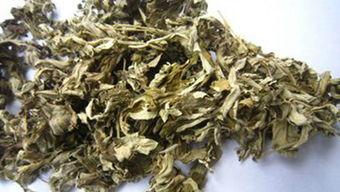 艾草在线观看视频国产