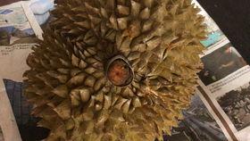 国产榴莲评测翻车视频,揭秘真实口感与期待差距