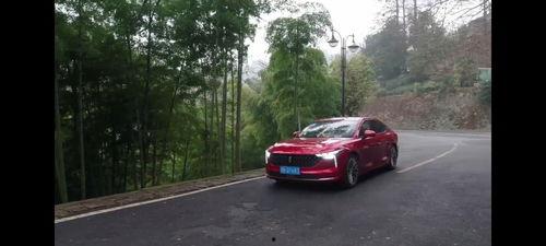 国产双十二选车技巧视频,视频揭秘选车技巧