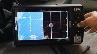 国产sv免费视频,揭秘国内短视频平台的魅力与挑战 第2张 国产sv免费视频,揭秘国内短视频平台的魅力与挑战 第2张