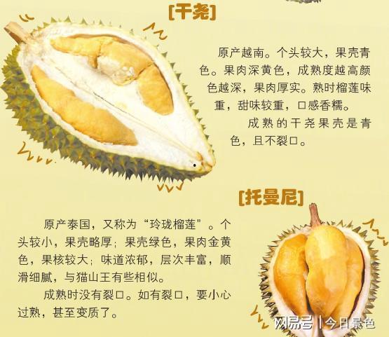 国产榴莲无臭味视频,颠覆传统味觉体验  第2张