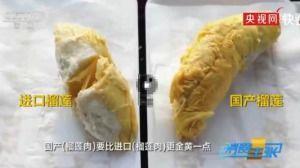 国产榴莲无臭味视频,颠覆传统味觉体验  第3张